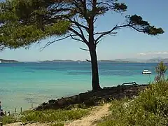 Paysage porquerollais