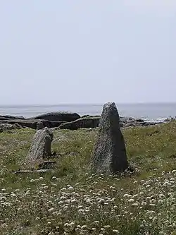 Paire de menhirs de l'île Melon