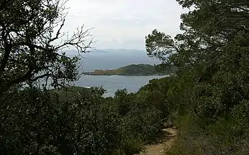 Port-Cros, vue panoramique vers Porquerolles.