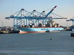 Porte-conteneurs sous les portiques de Zeebruges.