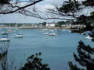 Le port de Larmor-Baden vu depuis l'île de Berder