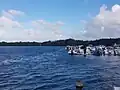 Port de Vieux-Bourg, vue sur la mangrove