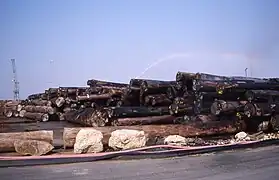 Arrosage des grumes (port de La Rochelle-Pallice en 2000).