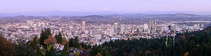 Une grande ville avec quelque hauts buildings, bordée d'une forêt et de quelques collines.