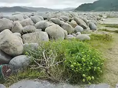 Porto de Bares - La jetée appelée O Coído