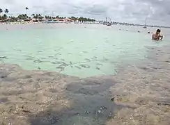 Plage de Porto de Galinhas (pt) - 65 km Sud