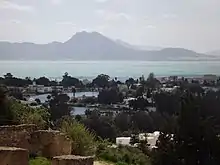Vue des ports puniques de Carthage depuis la colline de Byrsa