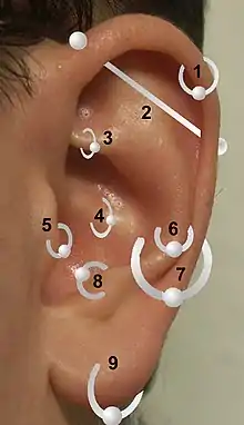 Piercing oreilles.