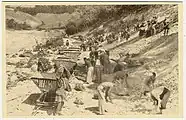 Brigades de jeunesse sur le chantier du chemin de fer de Šamac, v.1947