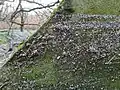 Poudre de Microbilles Polyéthylène de 1mm sur un rivage naturel d'un fleuve français...