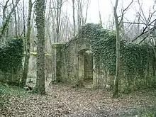 Ruines sans toit couvertes de lierre dans une forêt