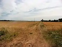 Photographie en couleurs d'un chemin herbeux surélevé par rapport aux champs qui le bordent;