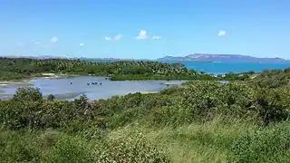 Chevaux en liberté à Tiabet, Poum.