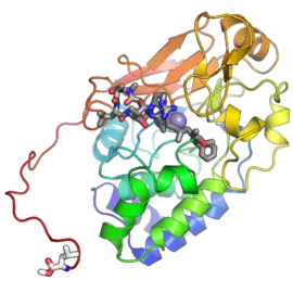 Image illustrative de l’article Protéine phosphatase 2