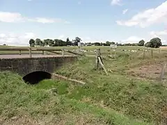 Paysage à Prétot-Vicquemare