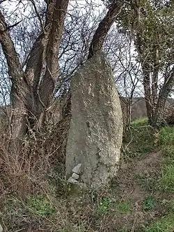 Menhir de Pra-Bourdin.