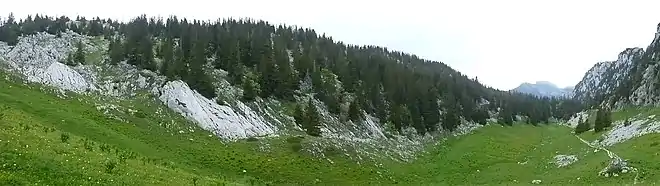 photographie d'une prairie dominée par des arbres et des rochers