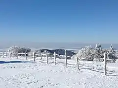 Vue depuis la piste ski de fond à Prat Peyrot sur le Mont Aigoual (Gard).