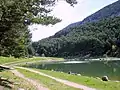 La promenade autour du lac