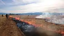 Écobuage effectué par une poignée de personnes le long d'un chemin.