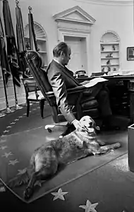 Gerald Ford caressant son chien Liberty (en), au Bureau ovale en 1974.