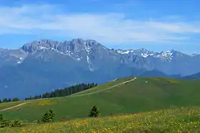 Versant Sud du Pizzo della Presolana.