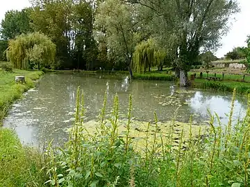 Étang alimenté par la Sérouze, en bordure de Pressignac.