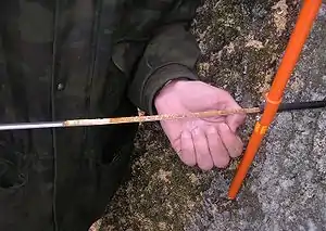 un technicien prélève un échantillon de matière dans un arbre, avec une mèche cylindrique