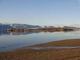 Prins Heinrichøya, Kongsfjorden.