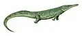 Prionosuchus