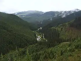 Vallée de la Bistrița à l'est du col.