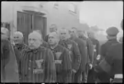 Détenus de Sachsenhausen.