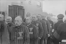 Photographie en noir et blanc de détenus du camp de concentration de Sachsenhausen, vêtus de leur tenue d'internés