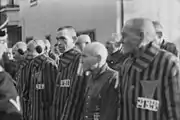 Triangles simples visibles sur les détenus de Sachsenhausen.
