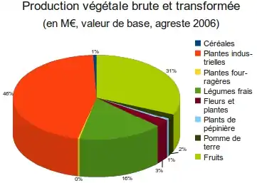 Production végétale brute et transformée annuelle de La Réunion