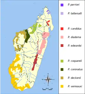 Carte de Madagascar indiquant les aires de répartition de chaque taxon.