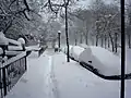 Blizzard (New York)
