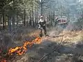 APFM protégeant les lisières d'un brûlage dirigé en Forêt Domaniale de Morières-Montrieux en 2006.