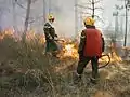 APFM protégeant les lisières d'un brûlage dirigé en Forêt Domaniale de Morières-Montrieux en 2006.