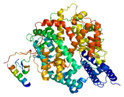 Image illustrative de l’article Enzyme de conversion de l'angiotensine 2