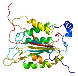 Image illustrative de l’article Caspase 1