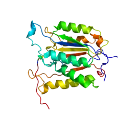 Image illustrative de l’article Caspase 6