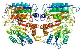 Image illustrative de l’article Caspase 9