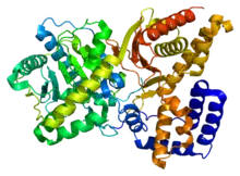 Description de l'image Protein_CHAT_PDB_2fy2.png.