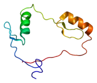 Image illustrative de l’article CTCF