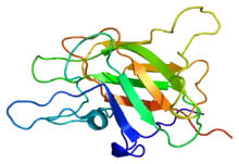 Description de l'image Protein F5 PDB 1czs.png.