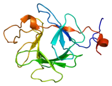 Image illustrative de l’article Facteur 23 de croissance du fibroblaste