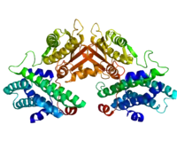 Image illustrative de l’article Pyruvate déshydrogénase kinase