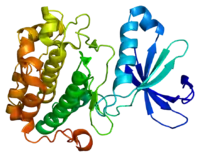 Image illustrative de l’article Pyruvate déshydrogénase kinase