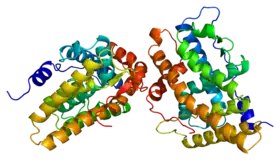 Image illustrative de l’article Récepteur de la progestérone